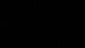 El Servicio Secreto rinde honores al oficial.