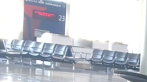 Un perro puede predecir ataques epilépticos e incluso ayudar con enfermedades mentales.