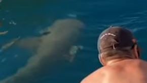 Chica es atacada por un tiburón