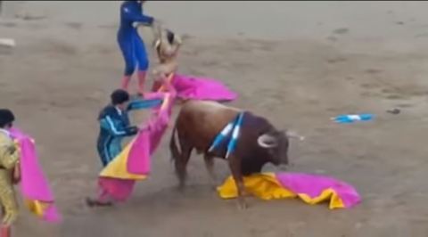 Pirata Padilla