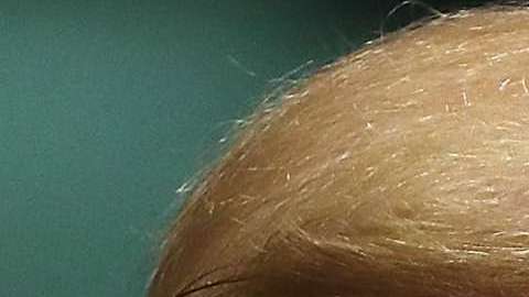 Donald Trump y Andrés Manuel López Obrador.