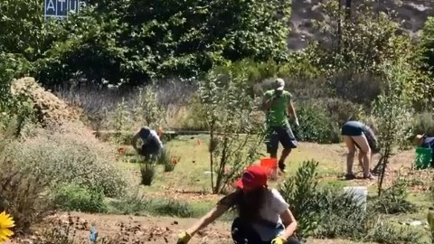 En la reserva, los voluntarios han cuidado de más de 700 especies nativas.