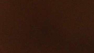 Ceremonia de ciudadanía en biblioteca de Nueva York