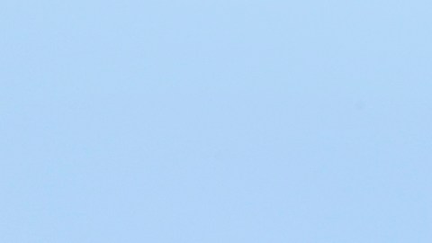 Sucursal de BofA del sur angelino. / Foto: Aurelia Ventura.