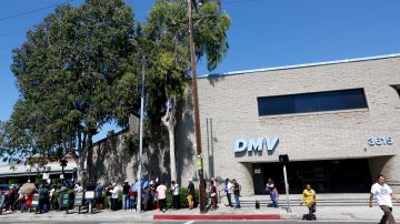 08/08/18 /LOS ANGELES/A long line snakes around a DMV in Los Angeles. The long lines, prompted by the REAL ID, are prompting pressure by outraged Californians to reduce waits of eight hours or more at some DMV offices. (Aurelia Ventura/La Opinion)