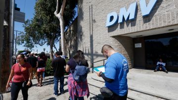El DMV admite que sus empleados cometieron errores en el registro de votantes de miles de sus usuarios. (Aurelia Ventura/La Opinion)