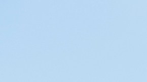 Las largas filas y tiempos de espera han sido una queja constante en el DMV. (Aurelia Ventura/La Opinion)