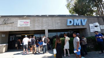 Las largas filas y tiempos de espera han sido una queja constante en el DMV. (Aurelia Ventura/La Opinion)