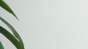 Una mujer recibe una manicura. (Aurelia Ventura/La Opinion)