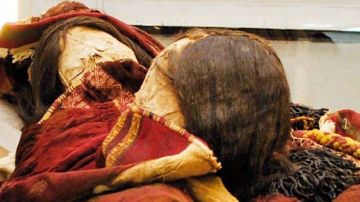 Las momias están en el Museo Regional de Iquique.