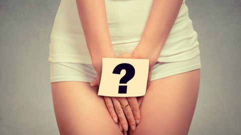 vagina