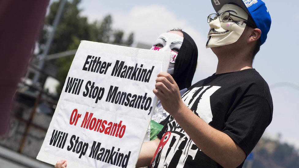 "O la Humanidad detiene a Monsanto, o Monsanto detendrá a la Humanidad".