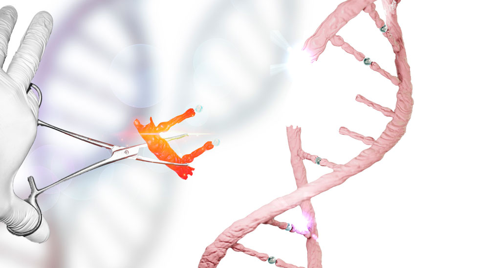 CRISPR es una técnica que permite recortar secciones de ADN.