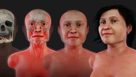 La reconstrucción del rostro de Eva.