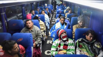 5 buses requieren los venezolanos para cruzar Ecuador.