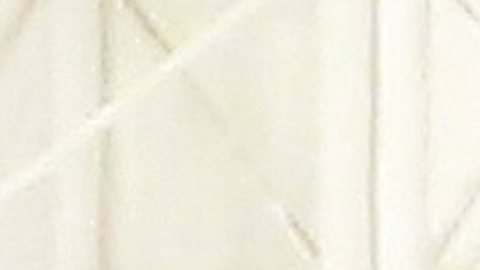 López Obrador se suele trasladar en aviones comerciales