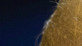 Vitiello sustituye a Thomas Homan, quien renunció por motivos familiares