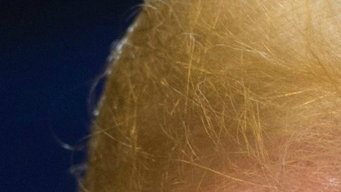 Vitiello sustituye a Thomas Homan, quien renunció por motivos familiares