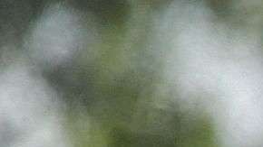 Familias migrantes suelen trasladarse a estados donde hay más oportunidades.