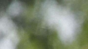 Familias migrantes suelen trasladarse a estados donde hay más oportunidades.