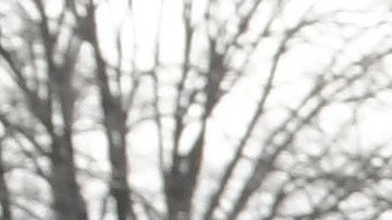 Cientos de miles serían deportados al terminar su TPS.