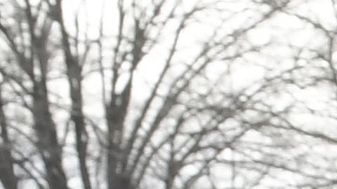 Cientos de miles serían deportados al terminar su TPS.
