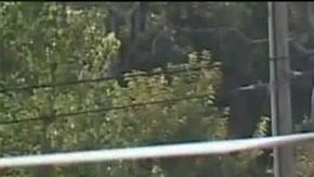 Un helicóptero de emergencias transporta a una alumna apuñalada.