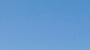 08/22/18 / LOS ANGELES/ Sayda Ayala, 27-year-old Honduran, with her son Caleb, 6, at their business in Whittier. Sayda came to the U.S. as an unaccompanied minor at age 14 in 2003, became a DACA recipient in 2015 and now owns her company ÒMilestone Truck Sales Inc.Ó (Aurelia Ventura/La Opinion)