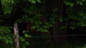 Automóviles que solo soñabas