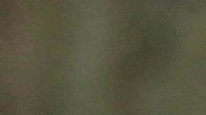 "La cueva de los ancestros" muestra los hallazgos de Puyil.