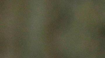 "La cueva de los ancestros" muestra los hallazgos de Puyil.