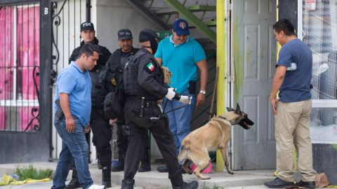 Hallan al menos diez cadáveres en una casa en Jalisco.