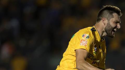 Andre Gignac vuelve a darle a Tigres la alegría del gol, ahora ante Veracruz. (Foto: EFE/Miguel Sierra)