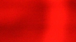 El senador John McCain.