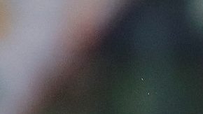 Palmeiras es uno de los equipos que jugarán los cuartos de final de la Copa Libertadores. (Foto: EFE/Sebastião Moreira)