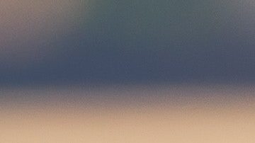 Parece que los estudiantes confían más en la tecnología que en los humanos.