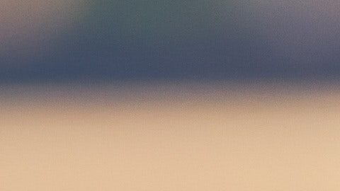 Parece que los estudiantes confían más en la tecnología que en los humanos.