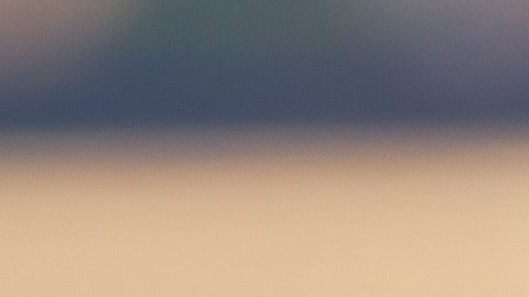 Parece que los estudiantes confían más en la tecnología que en los humanos.
