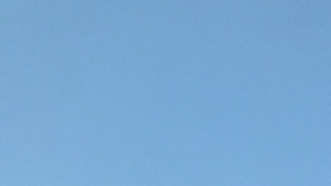 La aerolínea alega que el caso se trata de un simple “error de asignación de asientos”.