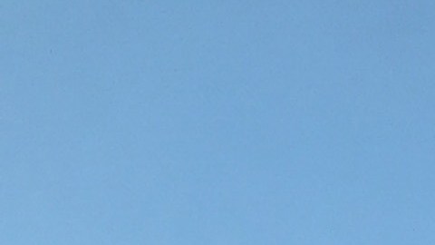 La aerolínea alega que el caso se trata de un simple “error de asignación de asientos”.