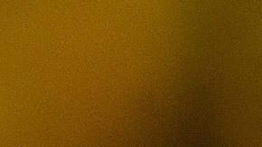 En el primer trimestre del año, 78,000 colonias desaparecieron en EEUU.