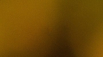 En el primer trimestre del año, 78,000 colonias desaparecieron en EEUU.