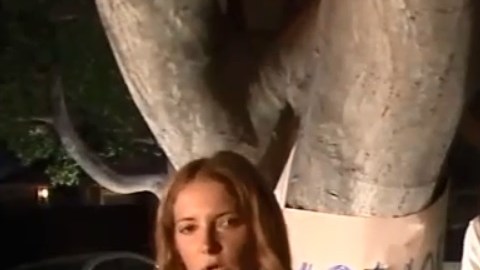 Los residentes de Hollywood quieren salvar sus árboles.
