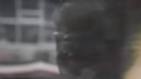 Aretha Franklin cantó el himno en la Serie Mundial de 1993.