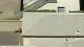 Ocurrió en la cuadra 800 de Sunset Boulevard.