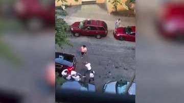 El pleito se reportó este martes en la avenida Creston cerca de la calle 182, en Fordham Heights.