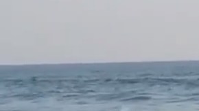 Tras el accidente, el conductor fue arrestado.