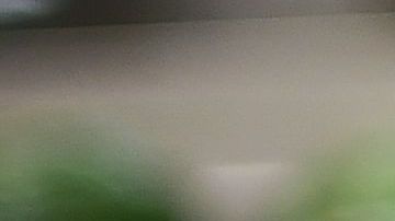 No todas las grasas son iguales y algunas pueden significar un gran beneficio para nuestra salud.