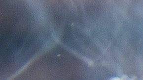 La carne mal etiquetada data de 2012.