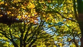 ¿Podemos odiar al futuro?